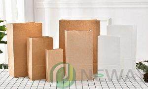 Kraft paper bags NW KP020 c1545