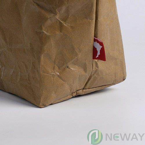 Tyvek Washabe paper cooler bags NW KP009 c1655